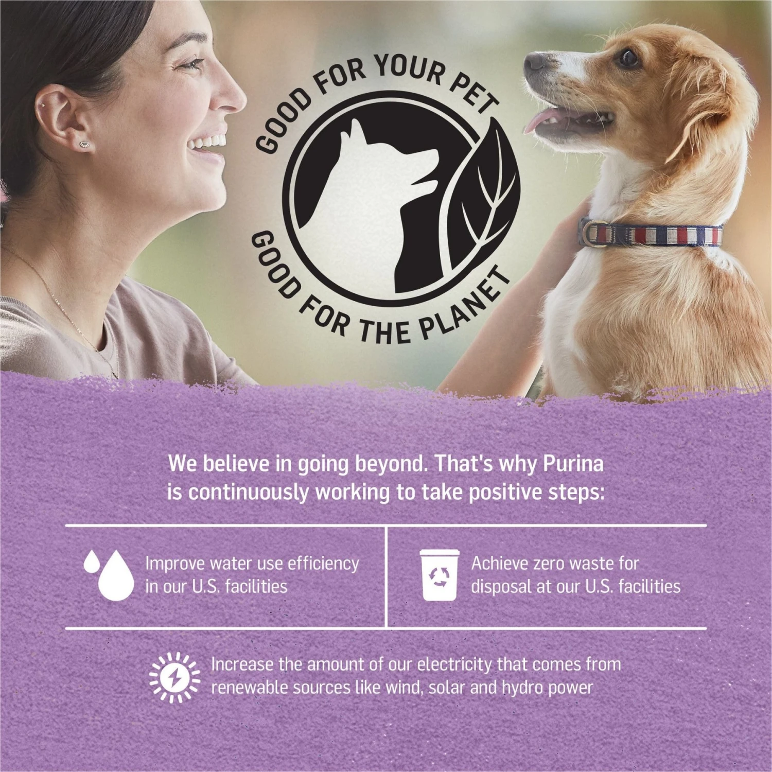 Purina Beyond Turkey & Green Bean Recipe In Gravy Canned Dog Food - Image 6