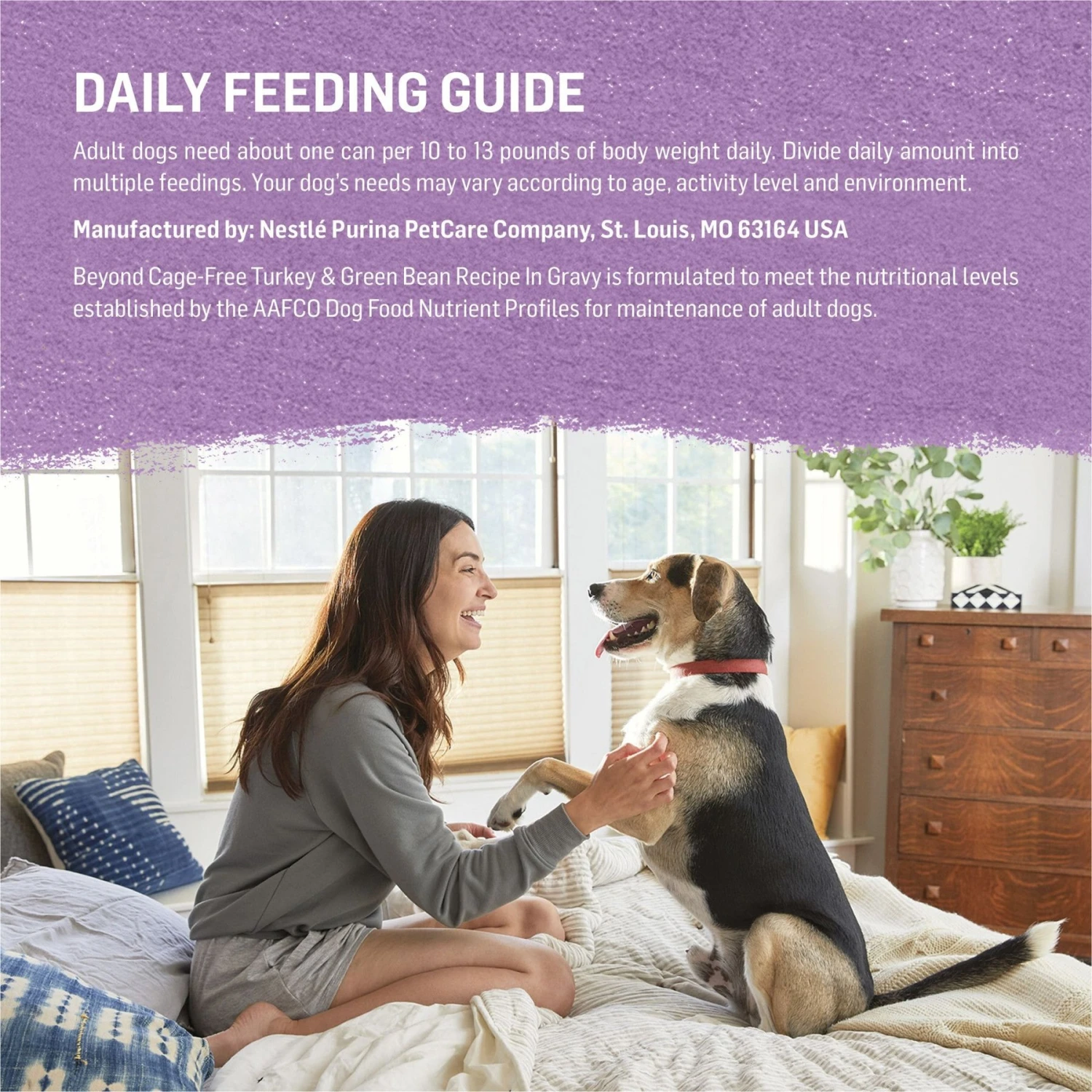 Purina Beyond Turkey & Green Bean Recipe In Gravy Canned Dog Food - Image 7