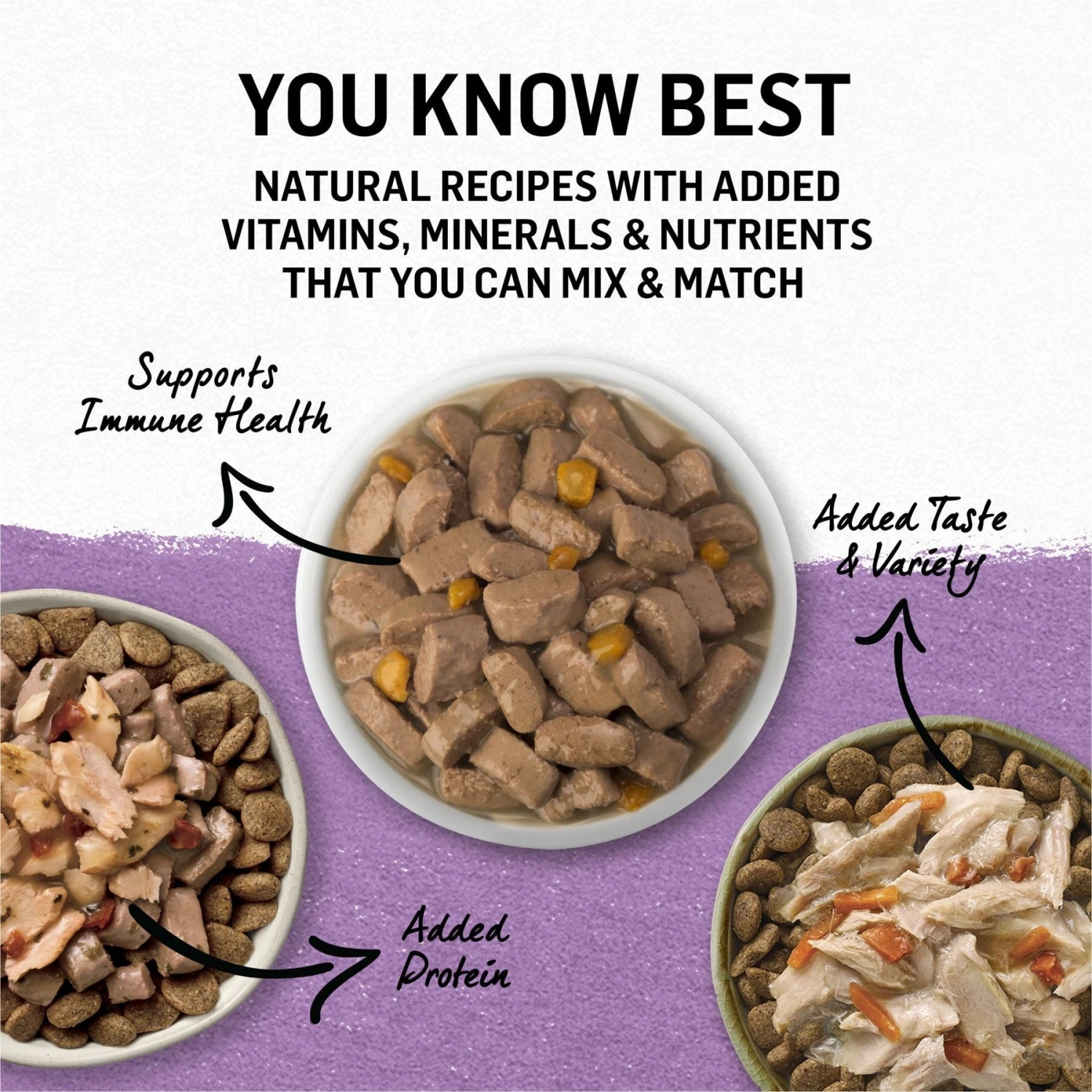 Purina Beyond Turkey & Green Bean Recipe In Gravy Canned Dog Food - Image 8