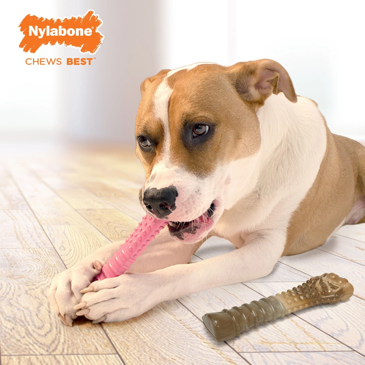 Nylabone Power Chew Chicken Lovers Dog Chew Toys, Camo & Pink, X-Large, 2 Count - Image 9